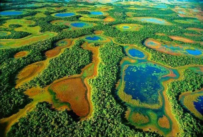Pantanal - nguồn: Internet Pantanal - nguồn: Internet