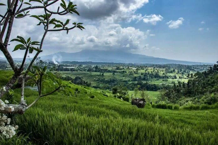 Sidemen Bali Indonesia - Nguồn: Internet Sidemen Bali Indonesia - Nguồn: Internet