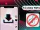Tải Video TikTok Không. Ảnh: InternetCó Logo Trên Điện Thoại