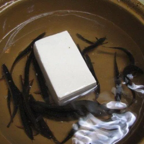 Tàu hũ địa ngục là món ăn có nhiều tranh cãi (Nguồn: Internet)