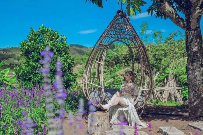 Thung lũng hoa Tà Nung (Nguồn: Internet) Thung lũng hoa Tà Nung (Nguồn: Internet)