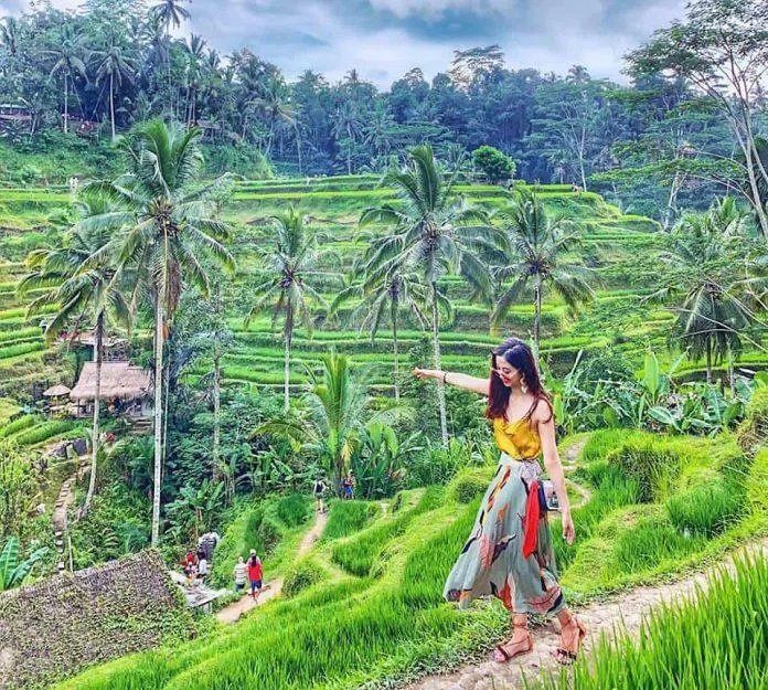 Ubud - nguồn: Internet Ubud - nguồn: Internet