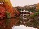 Vườn Quốc gia Shinjuku Gyoen