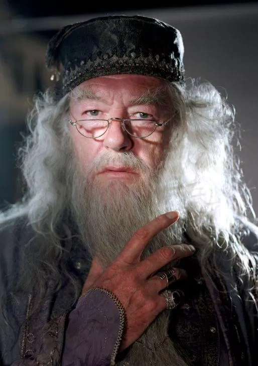 Albus Percival Wulfric Brian Dumbledore (Nguồn: Pinterest) Albus Percival Wulfric Brian Dumbledore (Nguồn: Pinterest)