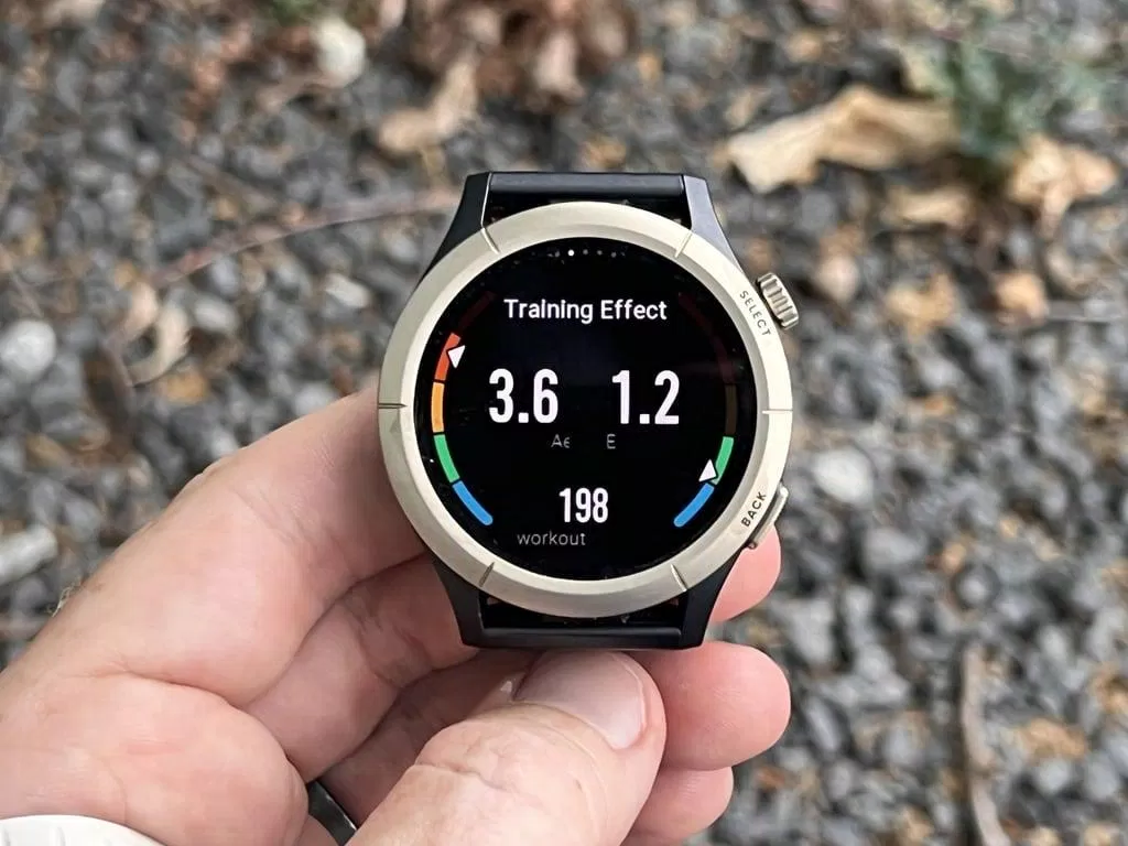 Amazfit Cheetah Pro có thiết kế mặt tròn cổ điển (Ảnh: Internet)