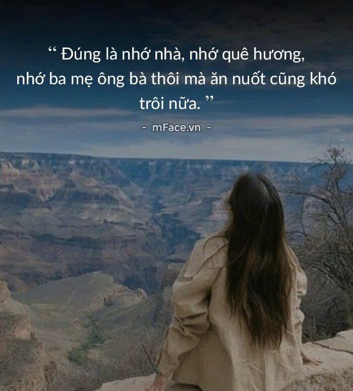 Ảnh nguồn thu thập Ảnh nguồn thu thập