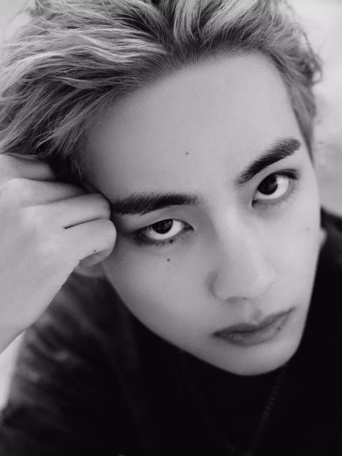 BTS V "Layover" Photo (Ảnh: Internet)