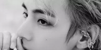 BTS V Layover Photo (Ảnh: Internet)