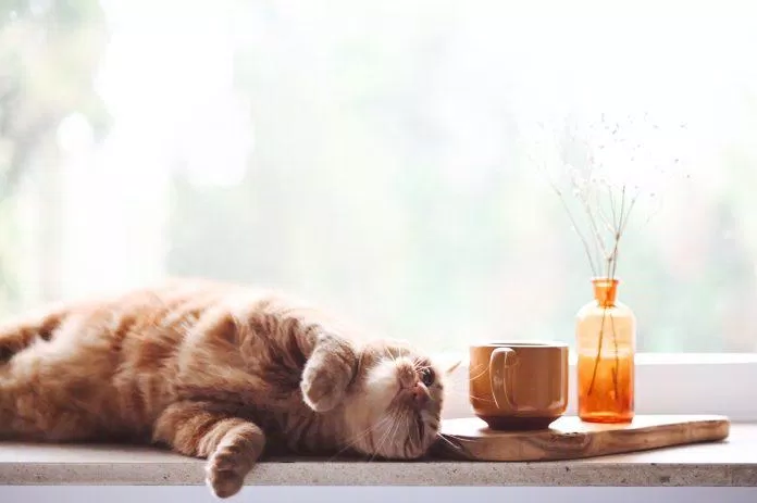 Vùng an toàn làm chúng ta dậm chân tại chỗ, không có động lực để phát triển bản thân và đạt được những thành tựu mới. (Nguồn: Internet) Vùng an toàn làm chúng ta dậm chân tại chỗ, không có động lực để phát triển bản thân và đạt được những thành tựu mới. (Nguồn: Internet)