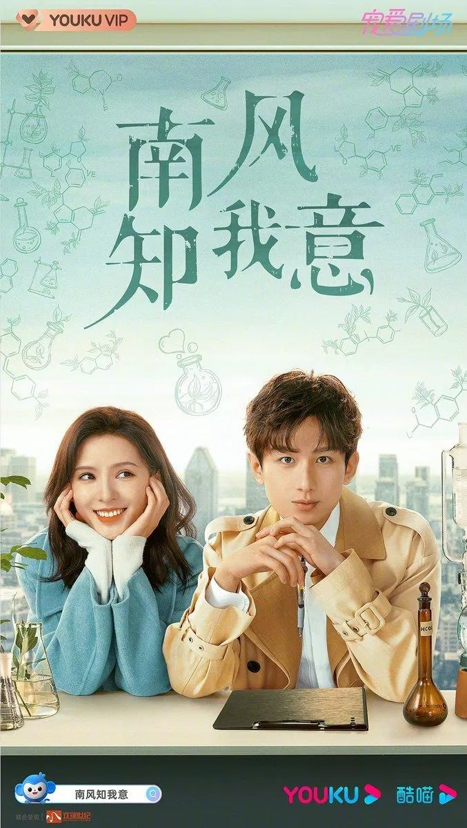 Poster phim Gió Nam Hiểu Lòng Tôi (Ảnh: Internet)