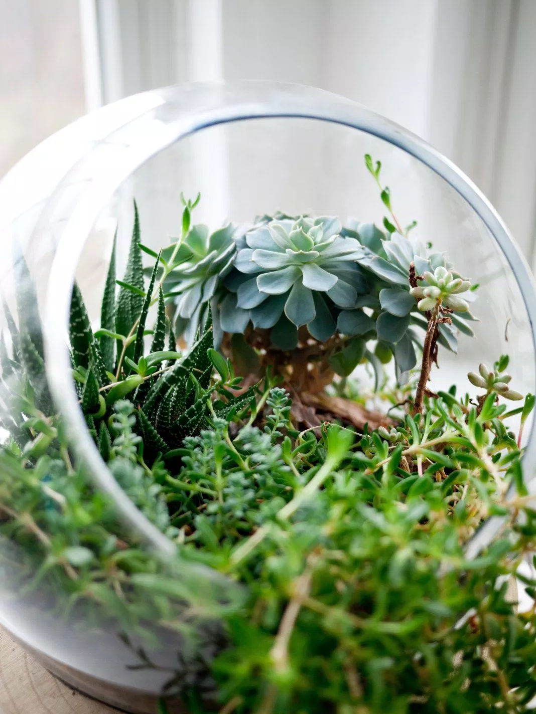 Các biện pháp tự nhiên có thể mang lại con đường dẫn đến sức khỏe vừa hiệu quả vừa nuôi dưỡng. (Nguồn: Internet)