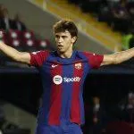 Joao Felix ăn mừng bàn thắng (Nguồn ảnh: Internet).
