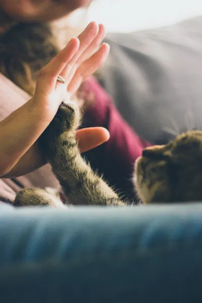 Khoan dung với bản thân có thể giúp thúc đẩy động lực và giúp bạn đi đúng hướng. (Nguồn: Internet) Khoan dung với bản thân có thể giúp thúc đẩy động lực và giúp bạn đi đúng hướng. (Nguồn: Internet)