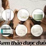TOP 10 kem thảo dược dưỡng da: vừa lành tính vừa có chất lượng khỏi chê (Nguồn: Internet)