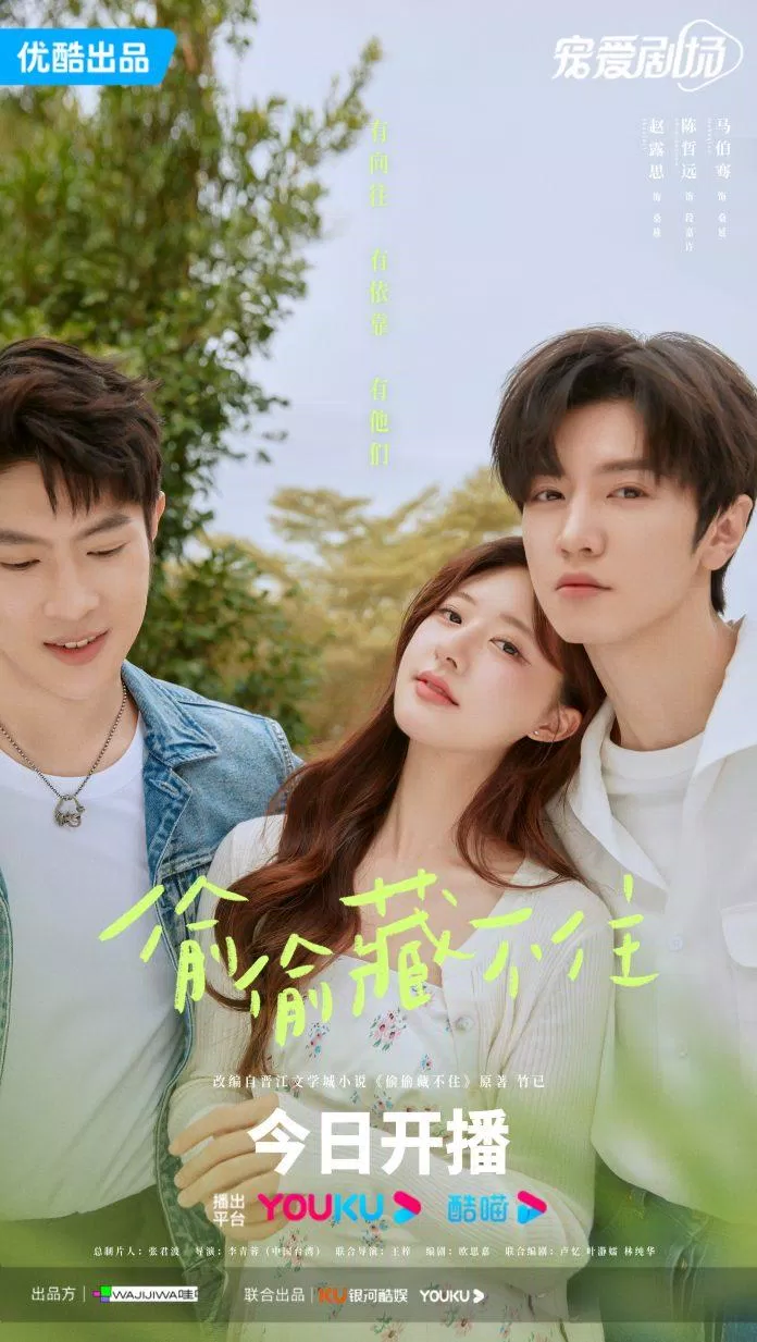 Poster Vụng Trộm Không Thể Giấu (Nguồn: Internet)