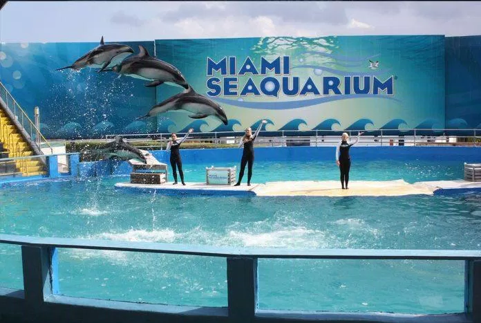 Miami Seaquarium - nguồn: Internet