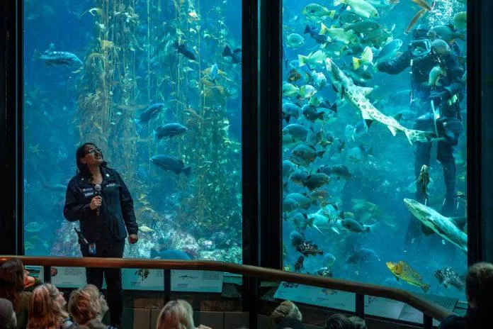 Monterey Bay Aquarium - nguồn: Internet Monterey Bay Aquarium - nguồn: Internet