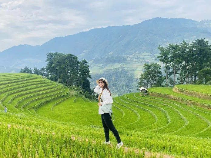 Vẻ đẹp của đồi móng ngựa. (Ảnh: Kim Cúc)