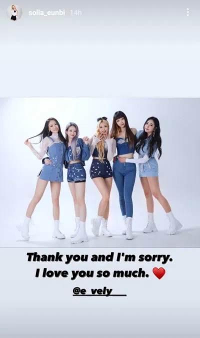 Instagram Story chia tay của một thành viên với người hâm mộ (Ảnh: Internet)