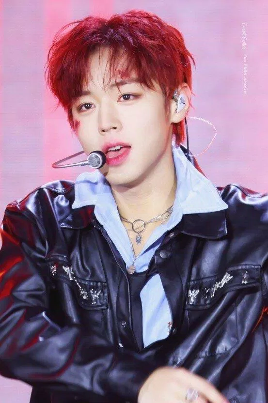 Park Jihoon - cựu thành viên nhóm nhạc nam Hàn Quốc Wanna One (Nguồn: Internet)