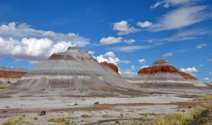 Petrified Forest National Park - nguồn: Internet Petrified Forest National Park - nguồn: Internet