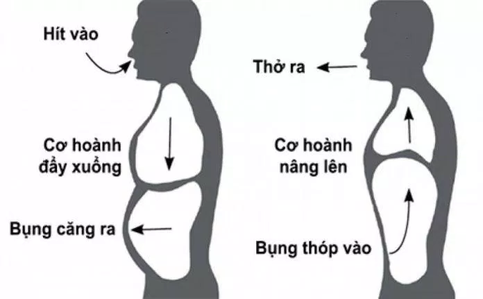 Thở bằng bụng (Nguồn: Internet) Thở bằng bụng (Nguồn: Internet)