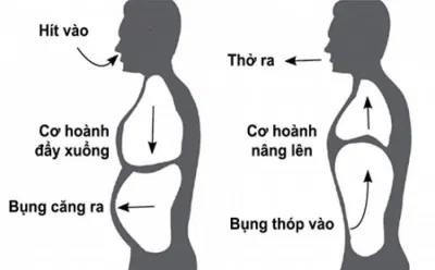 Thở bằng bụng (Nguồn: Internet) Thở bằng bụng (Nguồn: Internet)