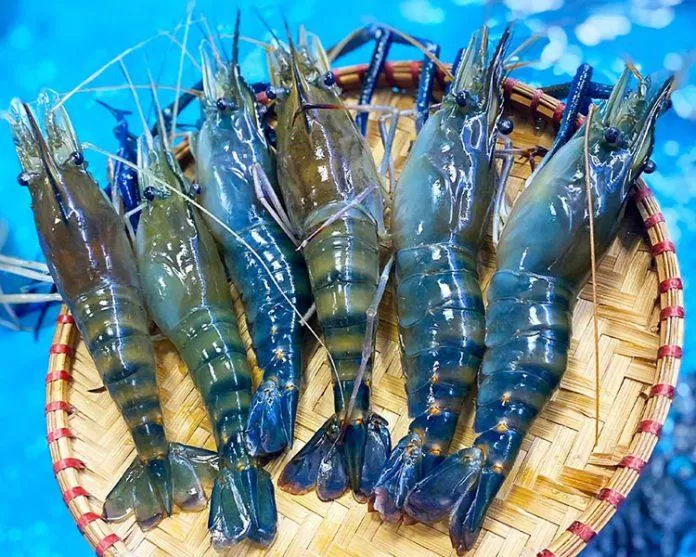 Một số lợi ích của việc ăn tôm (Nguồn: Internet) Một số lợi ích của việc ăn tôm (Nguồn: Internet)