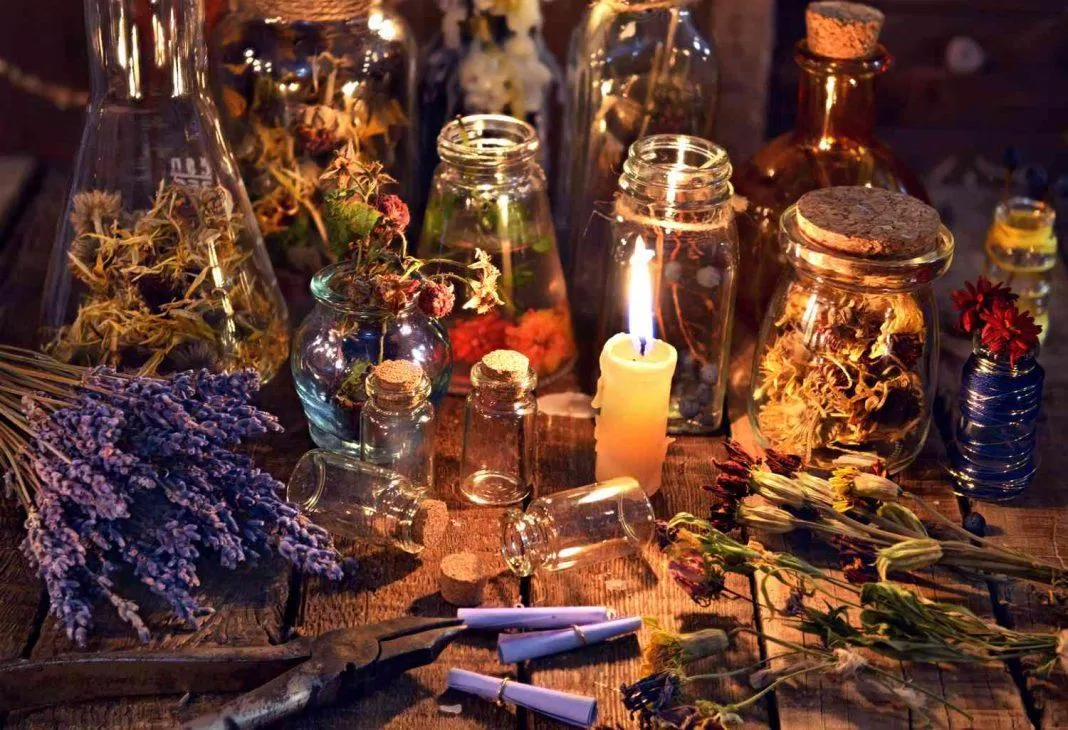 Wicca gắn liền với tự nhiên, thảo mộc (Ảnh: Internet)