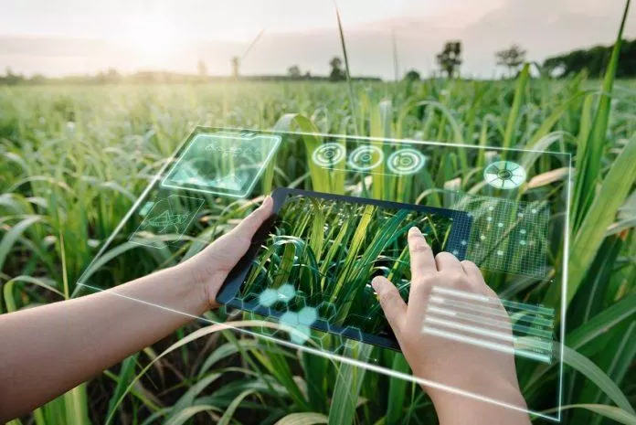 Nông nghiệp công nghệ cao ứng dụng AI (Ảnh: Internet)