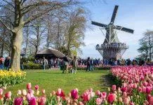 Vườn hoa Keukenhof - Hà Lan