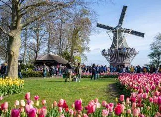 Vườn hoa Keukenhof - Hà Lan