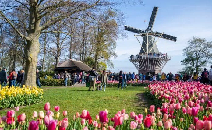 Vườn hoa Keukenhof - Hà Lan - nguồn: Internet