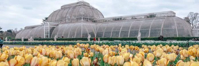 Vườn hoa Kew - Anh - nguồn: Internet
