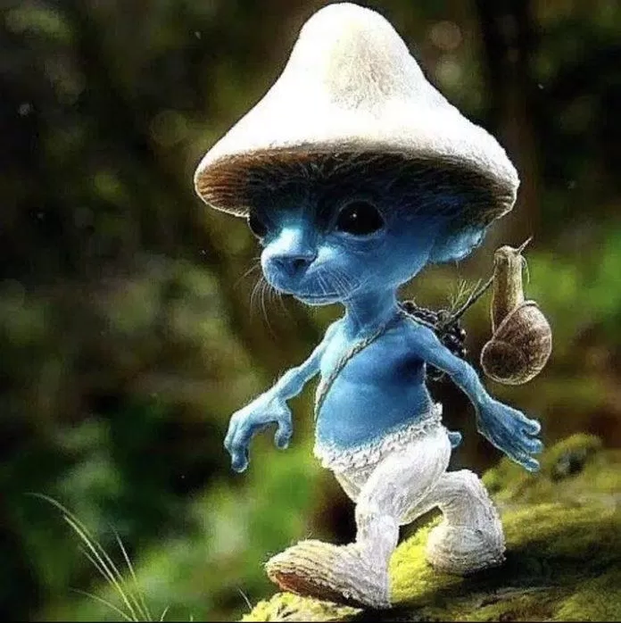 Smurf Cat là gì? (Ảnh: Internet) Smurf Cat là gì? (Ảnh: Internet)