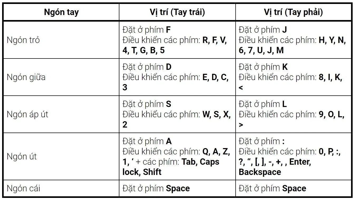 Cách tập gõ 10 ngón hiệu quả (Ảnh: Internet)