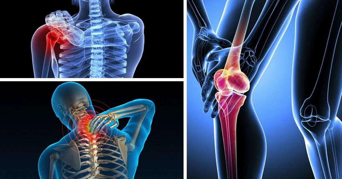 Đậu bắp cũng cấp nhiều chất dinh dưỡng cho xương, khớp. (Nguồn: Internet) Đậu bắp cũng cấp nhiều chất dinh dưỡng cho xương, khớp. (Nguồn: Internet)