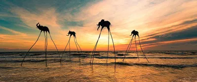 Ảnh hoàng hôn chill cho máy tính (Ảnh: Internet) Ảnh hoàng hôn chill cho máy tính (Ảnh: Internet)
