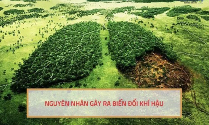 Nguyên nhân chính gây ra biến đổi khí hậu - nguồn internet Nguyên nhân chính gây ra biến đổi khí hậu - nguồn internet