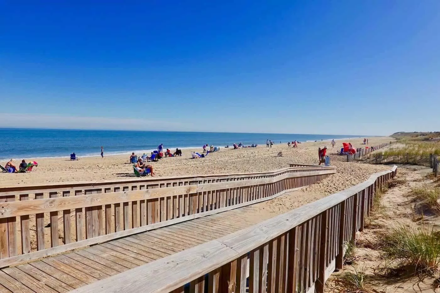 Cape Henlopen State Park - nguồn: Internet