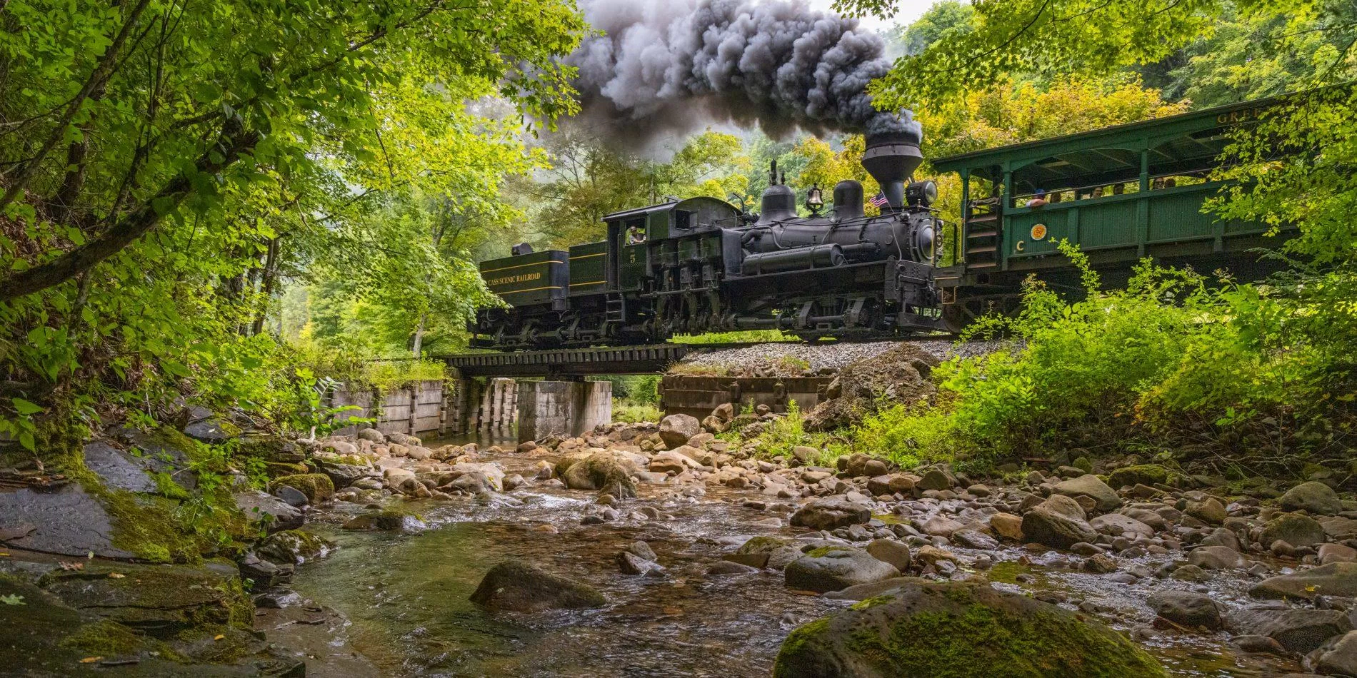 Cass Scenic Railroad State Park (Ảnh: Internet)