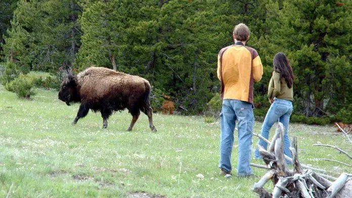 Công viên Quốc gia Yellowstone - nguồn: Internet Công viên Quốc gia Yellowstone - nguồn: Internet