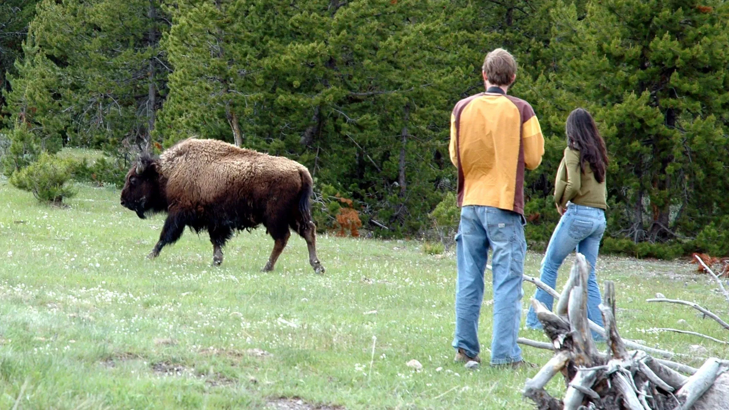 Công viên Quốc gia Yellowstone - nguồn: Internet