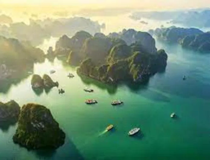 Gìn giữ, bảo tồn “báu vật” Vịnh Hạ Long (Nguồn: Internet) Gìn giữ, bảo tồn “báu vật” Vịnh Hạ Long (Nguồn: Internet)