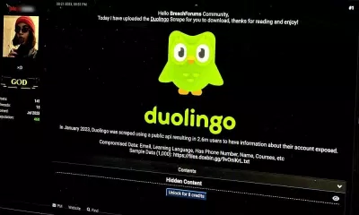 Dữ liệu của người dùng Duolingo bị lấy cắp và bán với giá rẻ (Ảnh: Internet) Dữ liệu của người dùng Duolingo bị lấy cắp và bán với giá rẻ (Ảnh: Internet)
