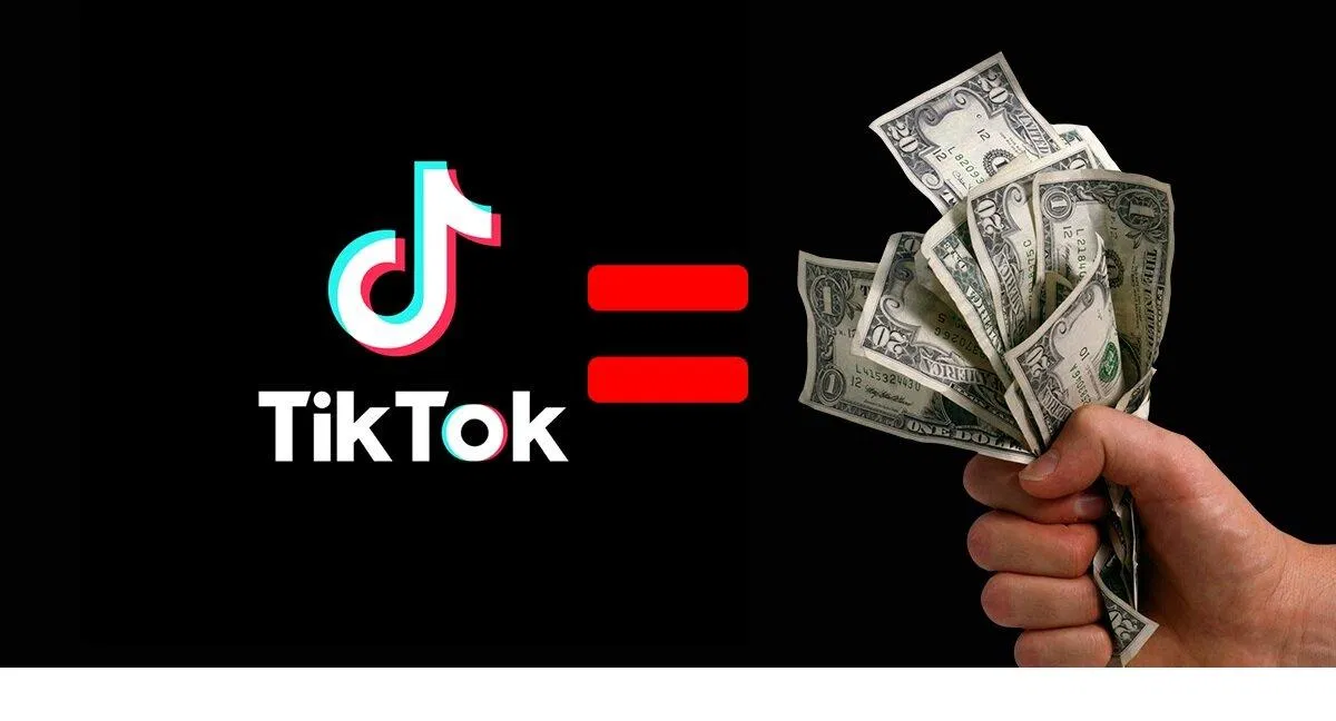 Kiếm tiền bằng TikTok (Ảnh: Internet) Kiếm tiền bằng TikTok (Ảnh: Internet)
