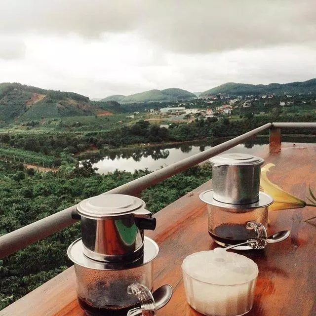Mê Linh Coffee Garden (Nguồn: Internet)