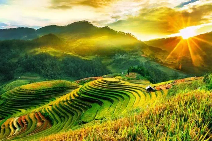 Mù Cang Chải (Ảnh: Internet) Mù Cang Chải (Ảnh: Internet)