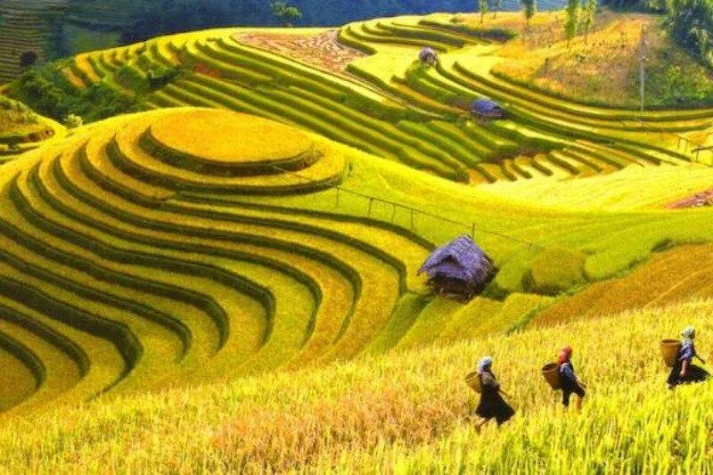 Mường Thanh, Điện Biên Mường Thanh, Điện Biên