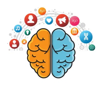 Trà có tác dụng tăng cường tập trung và trí nhớ (Nguồn: Internet) Trà có tác dụng tăng cường tập trung và trí nhớ (Nguồn: Internet)